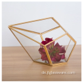 Pflanzen Glas Terrarium Geometrisch Pentagon Farn Moos